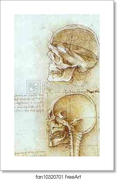 Free art print of Two Views of the Skull by Leonardo Da Vinci Free art print of Two Views of the Skull by Leonardo Da Vinci