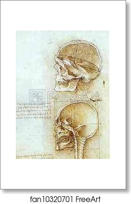 Free art print of Two Views of the Skull by Leonardo Da Vinci