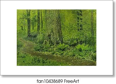 Free art print of Footpath in a Forest, Ferns by Isaac Levitan