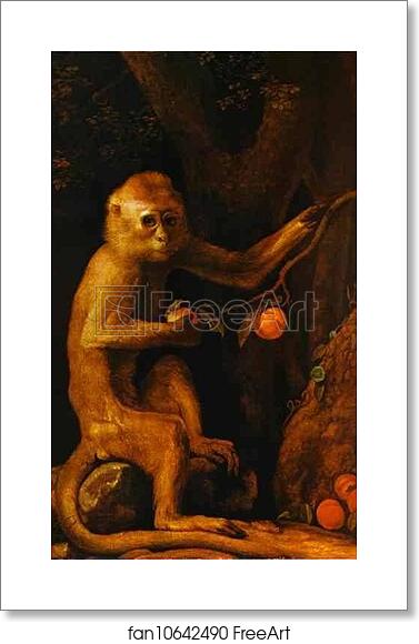 Free art print of Green Monkey by George Stubbs Free art print of Green Monkey by George Stubbs