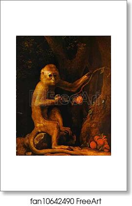 Free art print of Green Monkey by George Stubbs