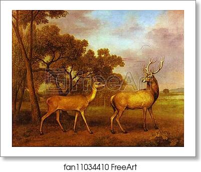 Free art print of Red Deer Stag and Hind by George Stubbs