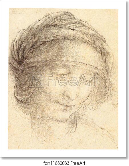 Free art print of Head of Saint Anne (c. 1510 - 1515) by Leonardo Da Vinci Free art print of Head of Saint Anne (c. 1510 - 1515) by Leonardo Da Vinci