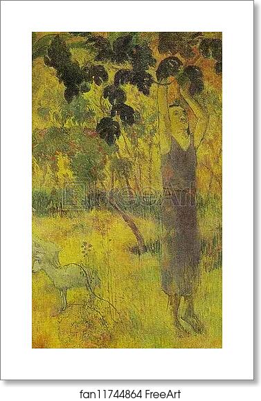 Free art print of Man Picking Fruit from a Tree by Paul Gauguin Free art print of Man Picking Fruit from a Tree by Paul Gauguin