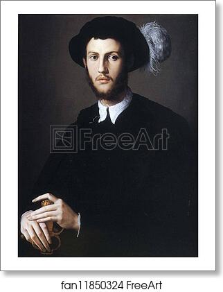 Free art print of Portrait of Young Man in a Hat with a Feather by Agnolo Bronzino