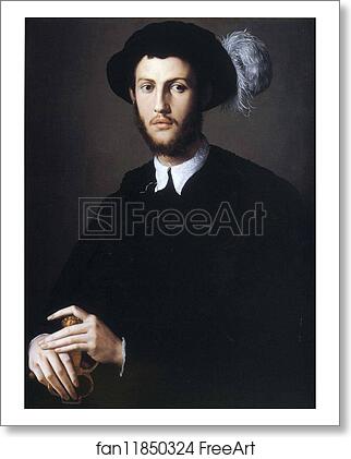 Free art print of Portrait of Young Man in a Hat with a Feather by Agnolo Bronzino Free art print of Portrait of Young Man in a Hat with a Feather by Agnolo Bronzino