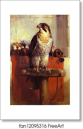 Free art print of Falcon by Sir Edwin Landseer