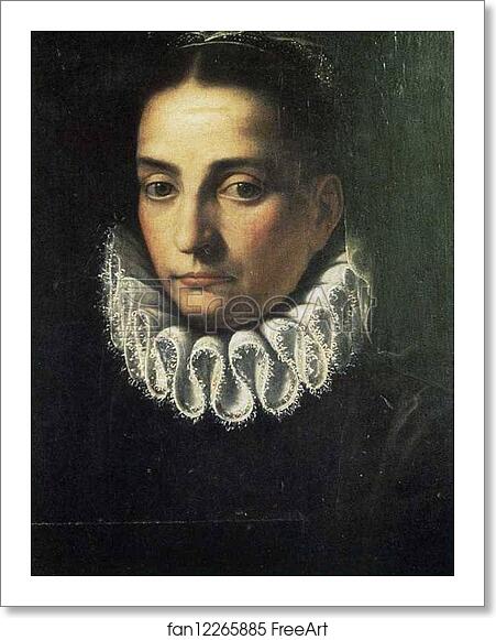 Free art print of Portrait of a Lady (Bianca Ponzone Anguissola) by Sofonisba Anguissola Free art print of Portrait of a Lady (Bianca Ponzone Anguissola) by Sofonisba Anguissola