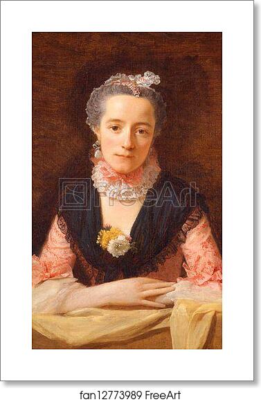 Free art print of Lady in a Pink Silk Dress by Allan Ramsay Free art print of Lady in a Pink Silk Dress by Allan Ramsay