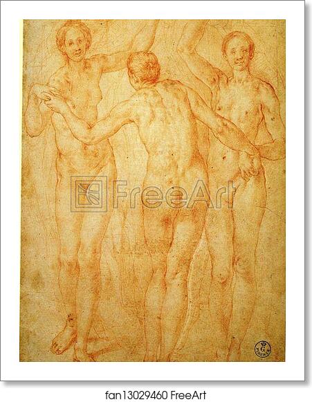 Free art print of The Three Graces by Jacopo Carrucci, Known As Pontormo