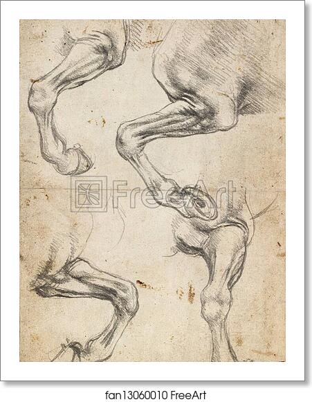 Free art print of Studies of Horse's Leg by Leonardo Da Vinci Free art print of Studies of Horse's Leg by Leonardo Da Vinci