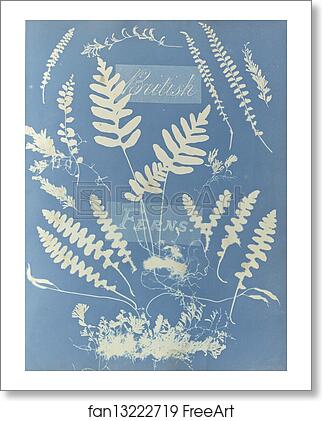 Free art print of British Ferns by Anna Atkins Free art print of British Ferns by Anna Atkins