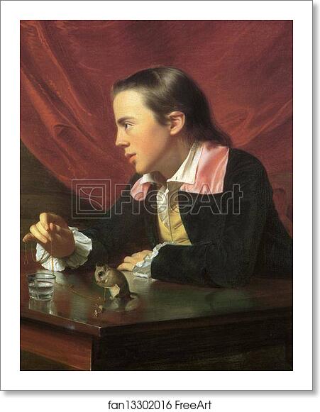 Free art print of Boy with Squirrel (Henry Pelham) by John Singleton Copley Free art print of Boy with Squirrel (Henry Pelham) by John Singleton Copley