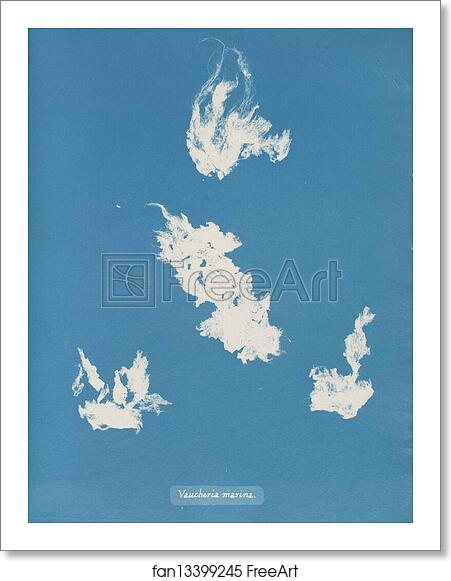 Free art print of Vaucheria marina by Anna Atkins Free art print of Vaucheria marina by Anna Atkins