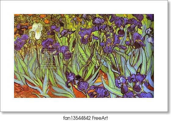 Free art print of Irises. Sait-Rémy by Vincent Van Gogh Free art print of Irises. Sait-Rémy by Vincent Van Gogh