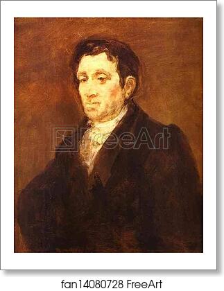 Free art print of José Pio de Molina by Francisco De Goya Y Lucientes