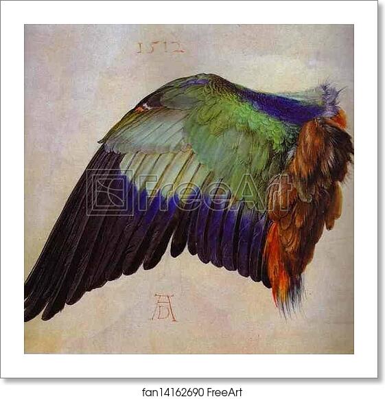 Free art print of Wing of a Roller by Albrecht Dürer Free art print of Wing of a Roller by Albrecht Dürer