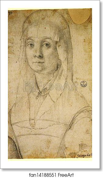 Free art print of Study of a Woman, Possibly Maria Salviati by Jacopo Carrucci, Known As Pontormo Free art print of Study of a Woman, Possibly Maria Salviati by Jacopo Carrucci, Known As Pontormo