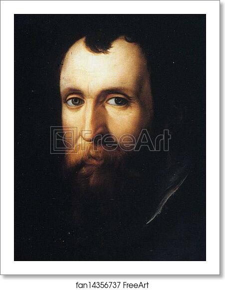 Free art print of Portrait of Luca Martini. Detail by Agnolo Bronzino Free art print of Portrait of Luca Martini. Detail by Agnolo Bronzino