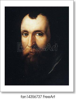 Free art print of Portrait of Luca Martini. Detail by Agnolo Bronzino