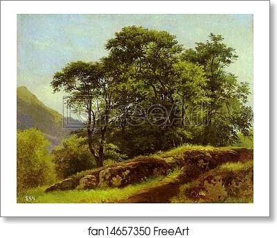 Free art print of Beech Forest in Switzerland by Ivan Shishkin