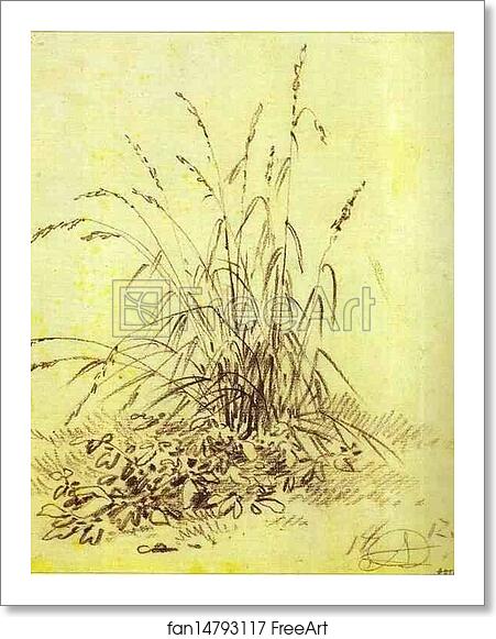 Free art print of Grass by Alexander Orlowski Free art print of Grass by Alexander Orlowski