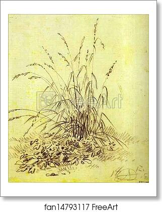 Free art print of Grass by Alexander Orlowski Free art print of Grass by Alexander Orlowski