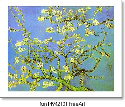 Free art print of Branches of Almond tree in Bloom. Saint-Rémy by Vincent Van Gogh