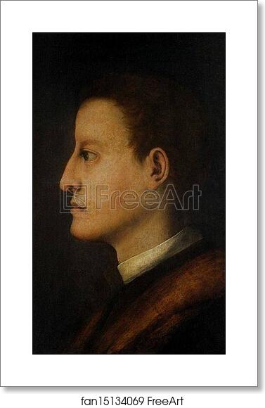 Free art print of Cosimo I de' Medici by Jacopo Carrucci, Known As Pontormo Free art print of Cosimo I de' Medici by Jacopo Carrucci, Known As Pontormo