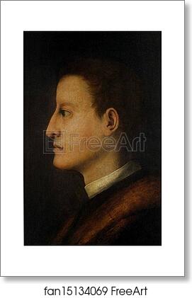Free art print of Cosimo I de' Medici by Jacopo Carrucci, Known As Pontormo