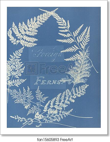 Free art print of Foreign Ferns by Anna Atkins