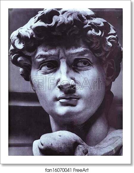 Free art print of David. Detail by Michelangelo Free art print of David. Detail by Michelangelo