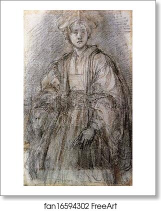 Free art print of Study for a Portrait of a Youth by Jacopo Carrucci, Known As Pontormo