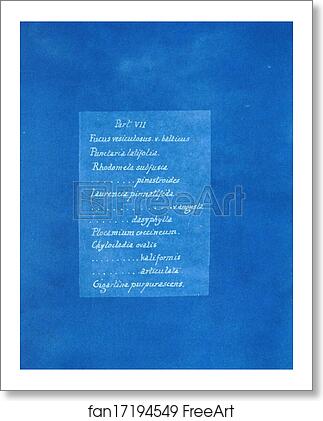 Free art print of Contents list by Anna Atkins Free art print of Contents list by Anna Atkins