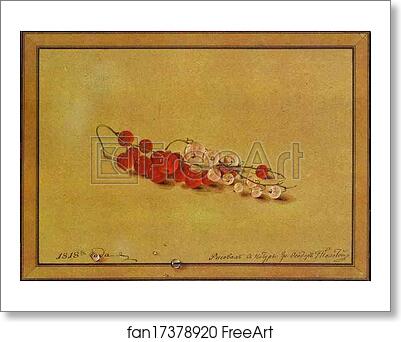Free art print of Red and White Currants by Count Feodor Tolstoy