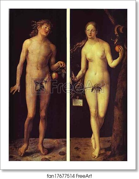 Free art print of Adam and Eve by Albrecht Dürer