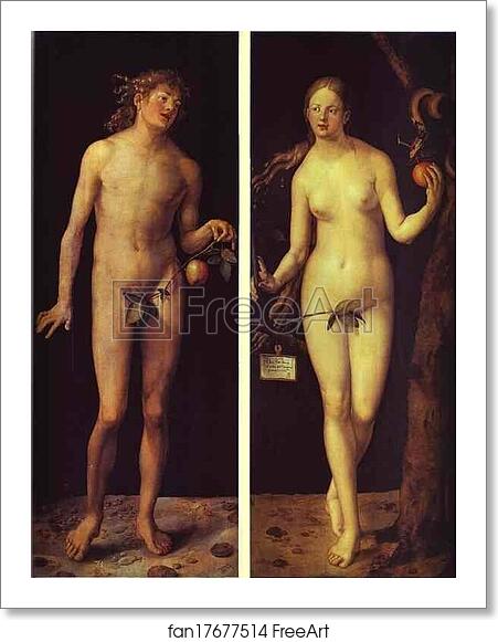 Free art print of Adam and Eve by Albrecht Dürer Free art print of Adam and Eve by Albrecht Dürer