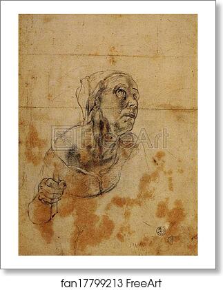 Free art print of Study for the Head of an Old Woman by Agnolo Bronzino
