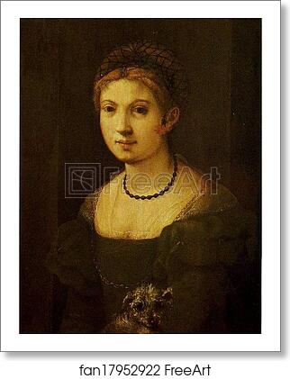 Free art print of Portrait of a Young Woman by Jacopo Carrucci, Known As Pontormo