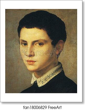 Free art print of Portrait of Young Sculptor (sometimes known as The Amateur of Sculpture). Detail by Agnolo Bronzino