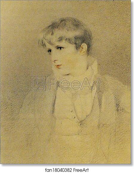 Free art print of Francis Thornhill Baring, Later 1st Baron Northbrook by Sir Thomas Lawrence