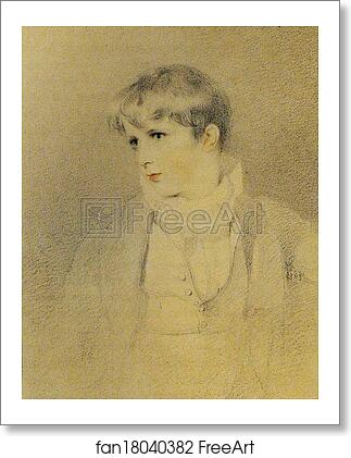 Free art print of Francis Thornhill Baring, Later 1st Baron Northbrook by Sir Thomas Lawrence