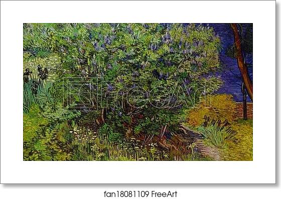Free art print of Lilac Bush by Vincent Van Gogh Free art print of Lilac Bush by Vincent Van Gogh
