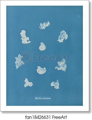 Free art print of Nostoe commune by Anna Atkins Free art print of Nostoe commune by Anna Atkins