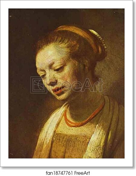 Free art print of Portrait of a Young Girl by Rembrandt Harmenszoon Van Rijn Free art print of Portrait of a Young Girl by Rembrandt Harmenszoon Van Rijn