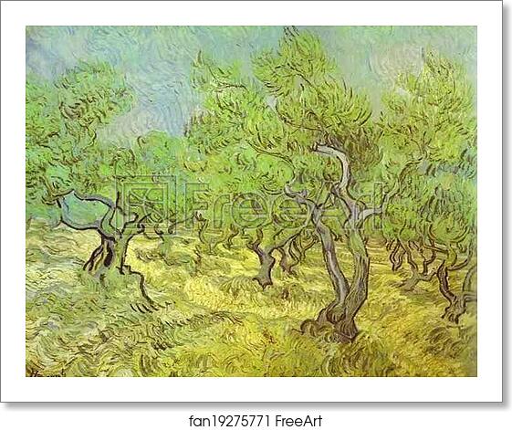 Free art print of Olive Orchard. Saint-Rémy by Vincent Van Gogh Free art print of Olive Orchard. Saint-Rémy by Vincent Van Gogh