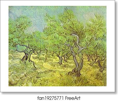 Free art print of Olive Orchard. Saint-Rémy by Vincent Van Gogh