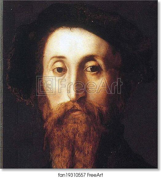 Free art print of Portrait of Bartolomeo Panciatichi. Detail by Agnolo Bronzino