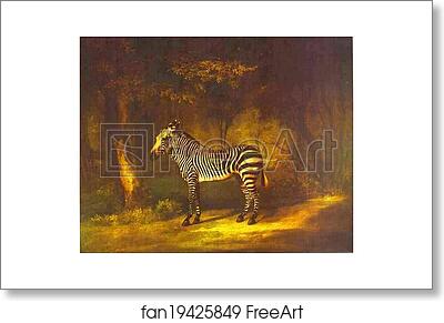 Free art print of Zebra by George Stubbs