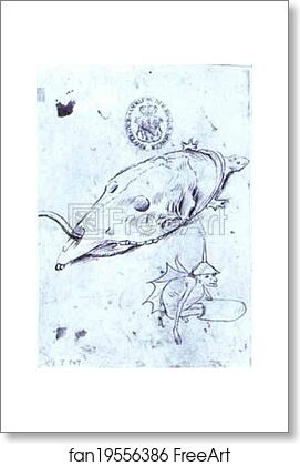 Free art print of Tortoise with Death's Head on its Carapace and Winged Demon by Hieronymus Bosch